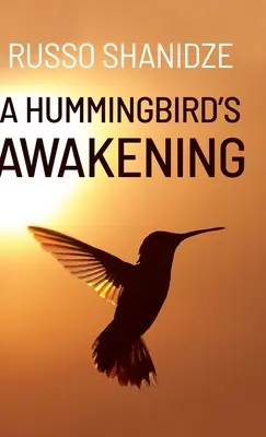 Prebudenie kolibríka - A Hummingbird's Awakening
