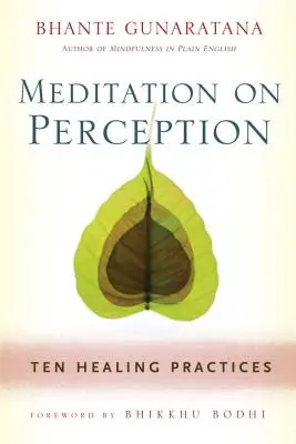 Meditácia o vnímaní: Desať liečivých cvičení na pestovanie bdelosti - Meditation on Perception: Ten Healing Practices to Cultivate Mindfulness
