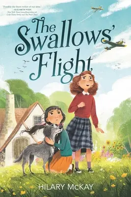 Let lastovičiek - The Swallows' Flight