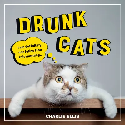 Opité mačky: Vtipné zábery opitých mačiek - Drunk Cats: Hilarious Snaps of Wasted Cats