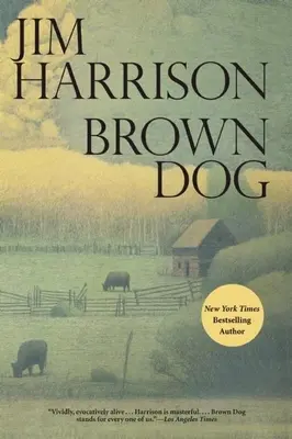 Hnedý pes - Brown Dog