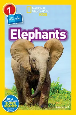 Slony - Elephants