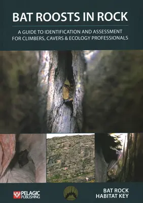 Bat Roosts in Rock (Netopierie hniezda v skale) - Bat Roosts in Rock