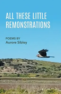 Všetky tieto malé pripomienky - All These Little Remonstrations