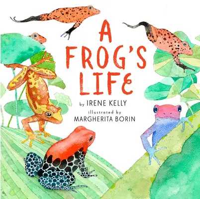 Žabí život - A Frog's Life