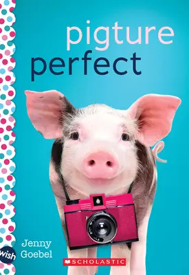 Pigture Perfect: Román na želanie - Pigture Perfect: A Wish Novel