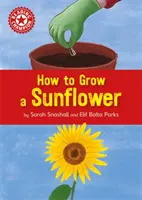 Šampión čítania: Ako sa pestuje slnečnica - samostatné čítanie literatúry faktu Červená 2 - Reading Champion: How to Grow a Sunflower - Independent Reading Non-fiction Red 2