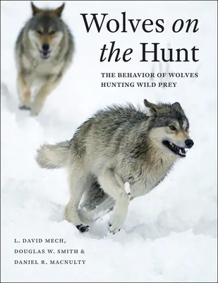 Vlci na love: Správanie vlkov pri love divej koristi - Wolves on the Hunt: The Behavior of Wolves Hunting Wild Prey