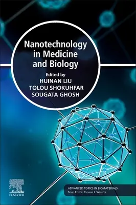 Nanotechnológie v medicíne a biológii - Nanotechnology in Medicine and Biology