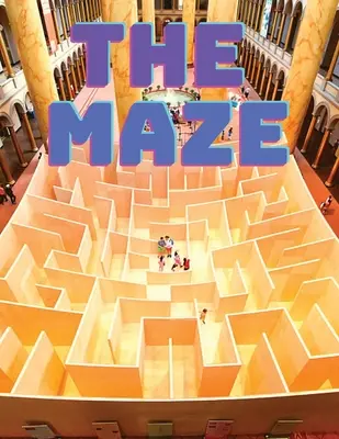 Kniha bludiskových hádaniek - Maze Puzzles Book