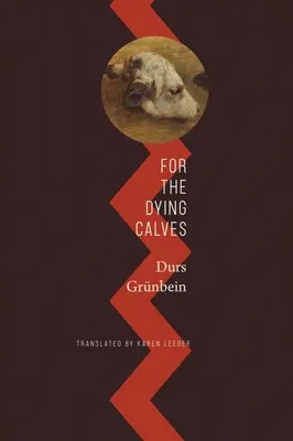 Pre umierajúce teľatá: Za hranicami literatúry: Oxfordské prednášky - For the Dying Calves: Beyond Literature: Oxford Lectures