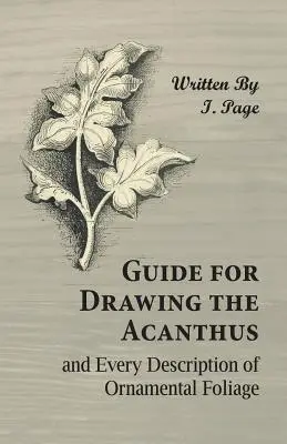 Príručka na kreslenie akantov a každý opis okrasných listov - Guide for Drawing the Acanthus, and Every Description of Ornamental Foliage