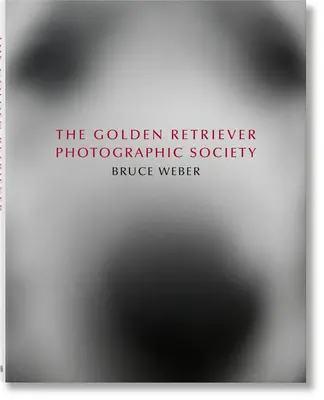 Bruce Weber. fotografická spoločnosť zlatého retrievera - Bruce Weber. the Golden Retriever Photographic Society