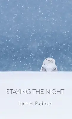 Zostať na noc - Staying The Night