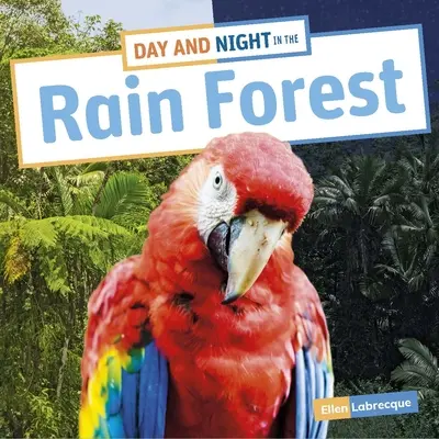 Deň a noc v dažďovom pralese - Day and Night in the Rain Forest
