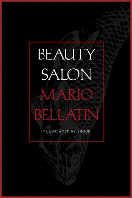 Salón krásy - Beauty Salon