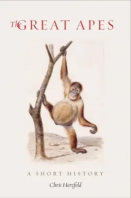 Veľké opice: krátka história - The Great Apes: A Short History