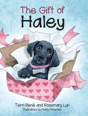 Haleyho dar - The Gift of Haley