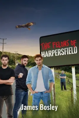 Zločinci z Harpersfieldu - The Felons of Harpersfield