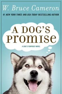 Psí sľub - A Dog's Promise