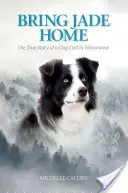 Priveďte Jade domov: Pravdivý príbeh psa strateného v Yellowstone - Bring Jade Home: The True Story of a Dog Lost in Yellowstone