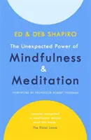 Nečakaná sila všímavosti a meditácie - Unexpected Power of Mindfulness and Meditation