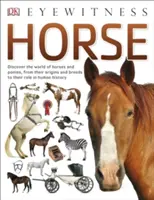 Kôň - Horse