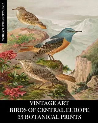 Vintage Art: Vtáky strednej Európy: 35 botanických výtlačkov - Vintage Art: Birds of Central Europe: 35 Botanical Prints