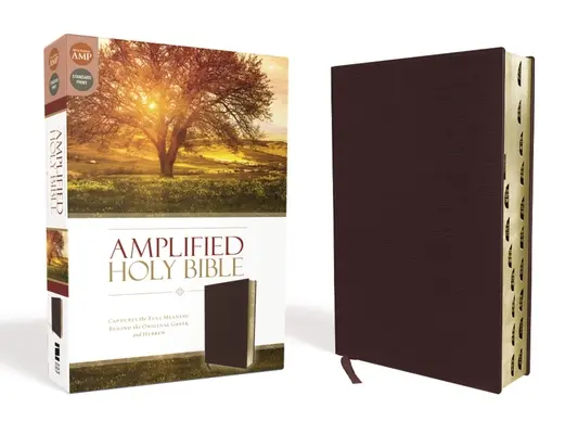 Amplified-Am: Rozšírené verše: zachytáva plný význam gréckeho a hebrejského originálu - Amplified-Am: Captures the Full Meaning Behind the Original Greek and Hebrew