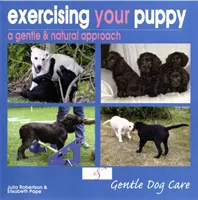 Cvičenie vášho šteňaťa - Exercising Your Puppy