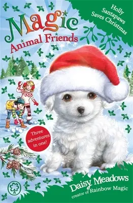 Kúzelné kamarátky zvierat: Holly Santapaws zachraňuje Vianoce - Špeciál 5 - Magic Animal Friends: Holly Santapaws Saves Christmas - Special 5