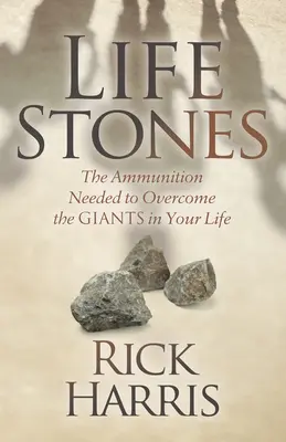 Kamene života: Striebro potrebné na prekonanie gigantov vo vašom živote - Life Stones: The Ammunition Needed to Overcome the Giants in Your Life