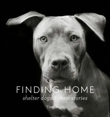 Hľadanie domova: Psy z útulkov a ich príbehy (fotografická pocta záchranárskym psom) - Finding Home: Shelter Dogs and Their Stories (a Photographic Tribute to Rescue Dogs)