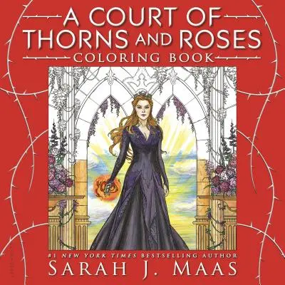 Dvor tŕňov a ruží Omaľovánka - A Court of Thorns and Roses Coloring Book