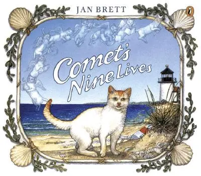 Deväť životov kométy - Comet's Nine Lives