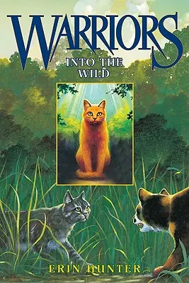 Do divočiny - Into the Wild
