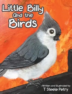 Malý Billy a vtáky - Little Billy and the Birds
