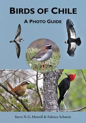 Vtáky Čile: Fotografický sprievodca - Birds of Chile: A Photo Guide