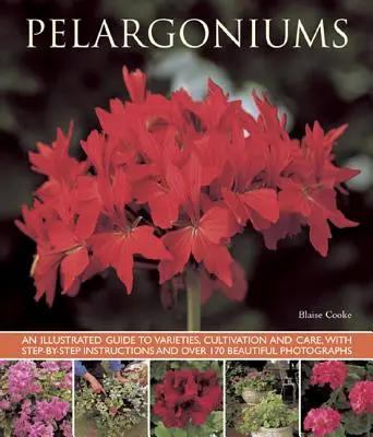 Pelargónie: Ilustrovaný sprievodca odrodami, pestovaním a starostlivosťou s návodmi krok za krokom a viac ako 170 krásnymi fotografiami - Pelargoniums: An Illustrated Guide to Varieties, Cultivation and Care, with Step-By-Step Instructions and Over 170 Beautiful Photogr