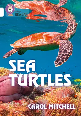 Morské korytnačky: Kapela 10/White - Sea Turtles: Band 10/White