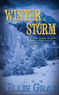 Zimná búrka - Winter Storm