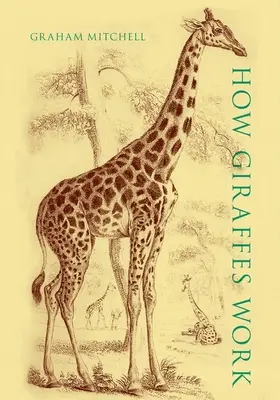 Ako fungujú žirafy - How Giraffes Work