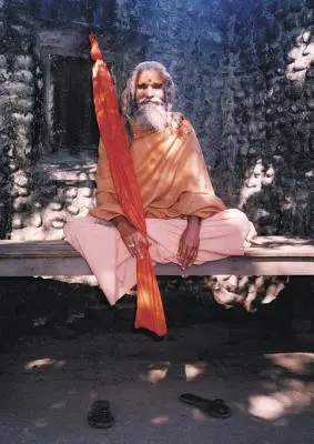 Dandi Swami: Dandi Swami: Príbeh o Guruovej vôli, Mahariši Maheš Jogínovi, Šankaračarjovi z Jyotir Math a stretnutiach s Dandi Swamim N - Dandi Swami: The Story of the Guru's Will, Maharishi Mahesh Yogi, the Shankaracharyas of Jyotir Math, & Meetings with Dandi Swami N
