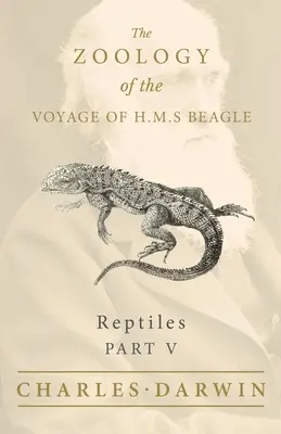 Plazy - V. časť - Zoológia plavby H.M.S. Beagle - Reptiles - Part V - The Zoology of the Voyage of H.M.S Beagle