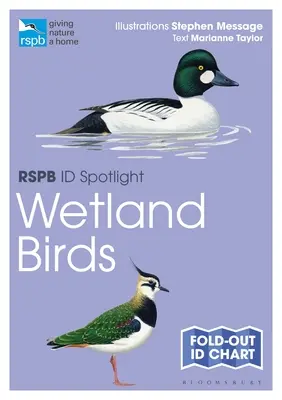 Rspb Id Spotlight - Vtáky mokradí - Rspb Id Spotlight - Wetland Birds