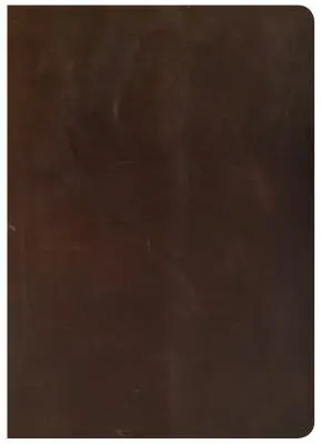 CSB She Reads Truth Bible, Brown Genuine Leather (Biblia Ona číta pravdu, hnedá pravá koža): Čítanka: Cudzia Biblia, brožovaná, priestor na poznámky, devocionálie, plány na čítanie, ľahko čitateľné písmo - CSB She Reads Truth Bible, Brown Genuine Leather: Notetaking Space, Devotionals, Reading Plans, Easy-To-Read Font