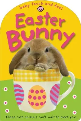 Veľkonočný zajačik na dotyk a ohmatanie: Tieto roztomilé zvieratká sa s tebou nemôžu stretnúť! - Baby Touch and Feel Easter Bunny: These Cute Animals Can't Want to Meet You!