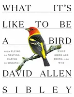 Aké je to byť vtákom: Od lietania po hniezdenie, od jedla po spev - čo vtáky robia a prečo - What It's Like to Be a Bird: From Flying to Nesting, Eating to Singing--What Birds Are Doing, and Why