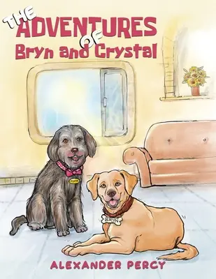 Dobrodružstvá Bryn a Crystal - The Adventures of Bryn and Crystal