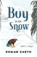 Chlapec na snehu - Boy in the Snow